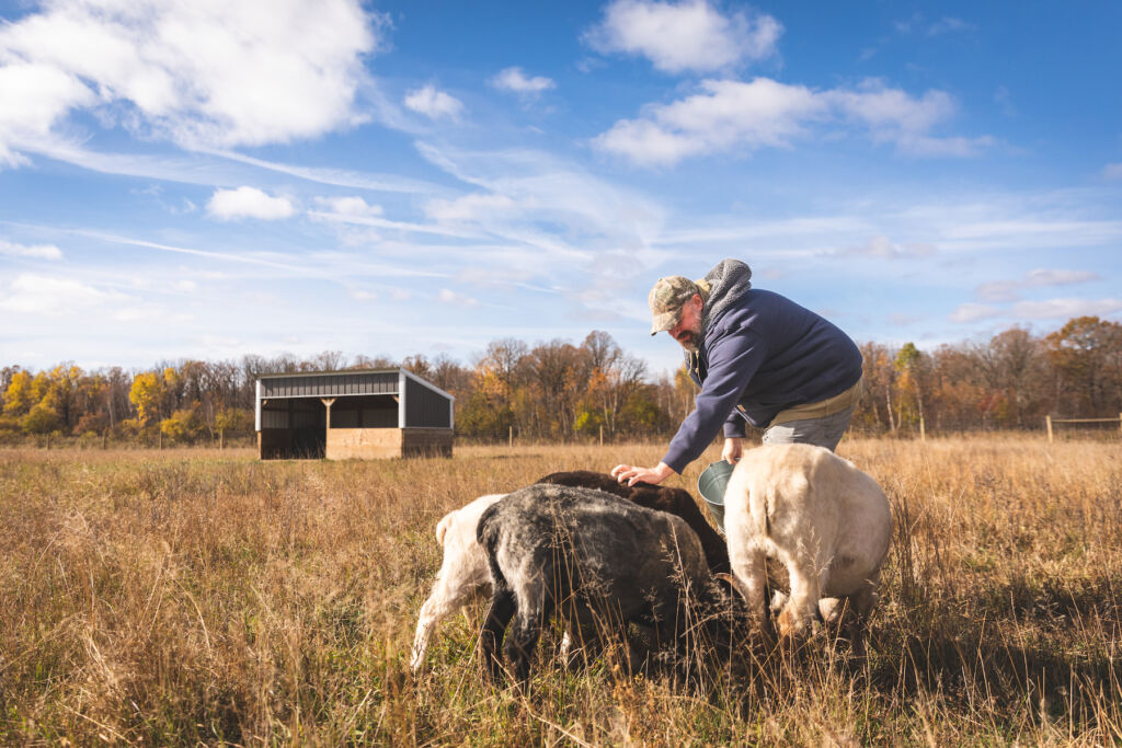 Allen Houchins from Jamf with pigs in a field on his farm in rural Wisconsin. 