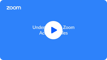 Understanding and verifying Zoom system roles