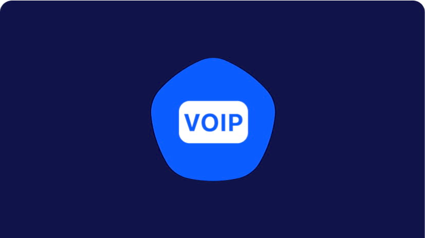 VoIP Phone Service With Provider Flexibility