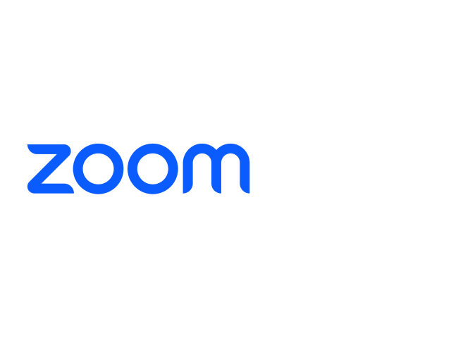 Zoom One